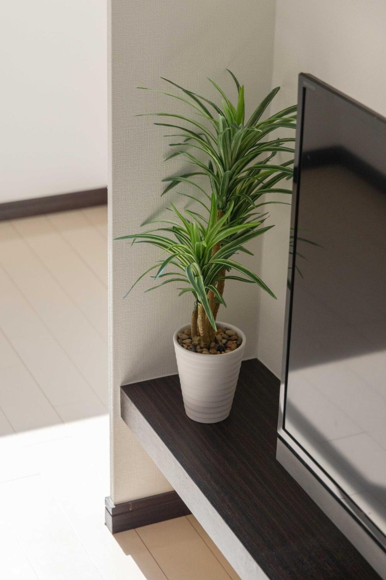 Skytree View Kinshicho - Self Check-In Only Apartment โตเกียว ภายนอก รูปภาพ